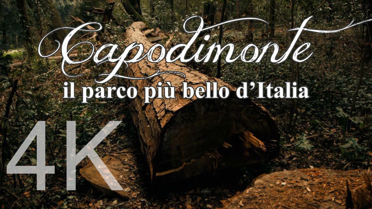 Alla Corte Del Re Dimora Storica Napoli Eksteriør bilde
